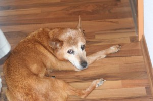 2010-04-24 006_klein