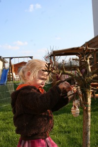 IMG_3730_klein