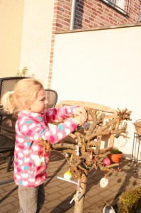 IMG_3737_klein
