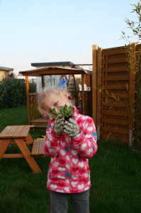 IMG_3741_klein