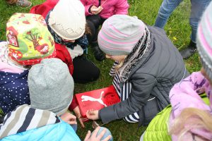 IMG_7308_klein