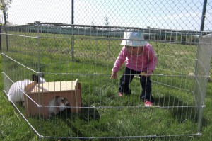 Linn&Liana 2011-04-19 011_klein